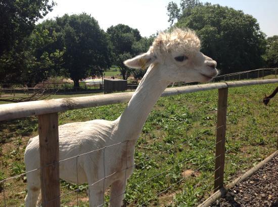 Jimmy's Farm