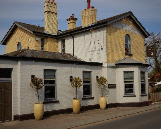 The Duck