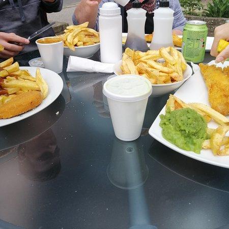 Family Fish Plaice