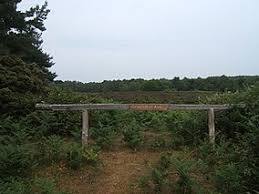 RSPB North Warren