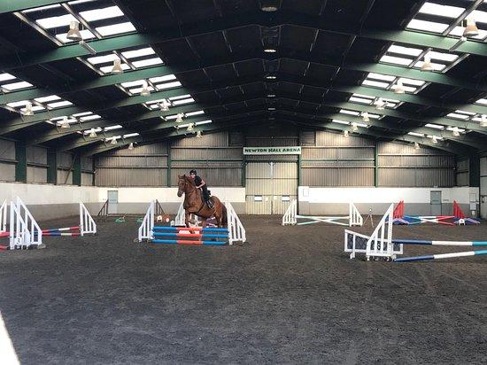Newton Hall Equitation Ltd