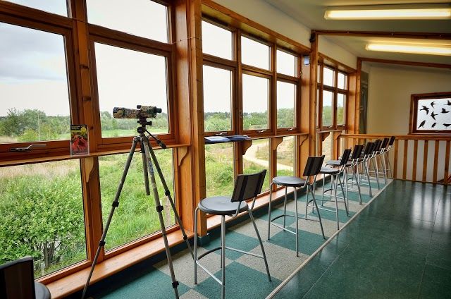 Suffolk Wildlife Trust