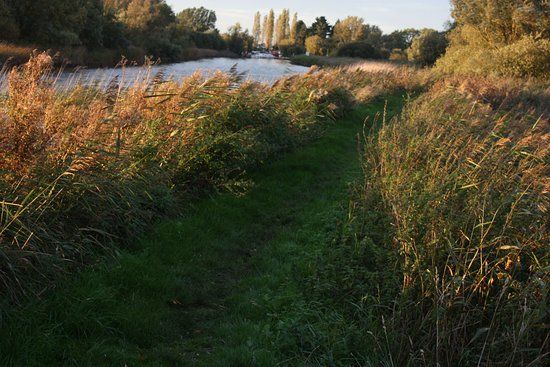 Carlton Marshes