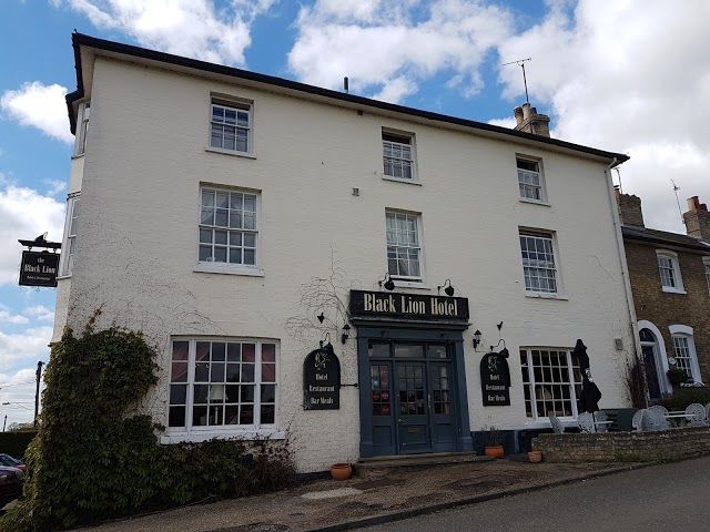 The Black Lion